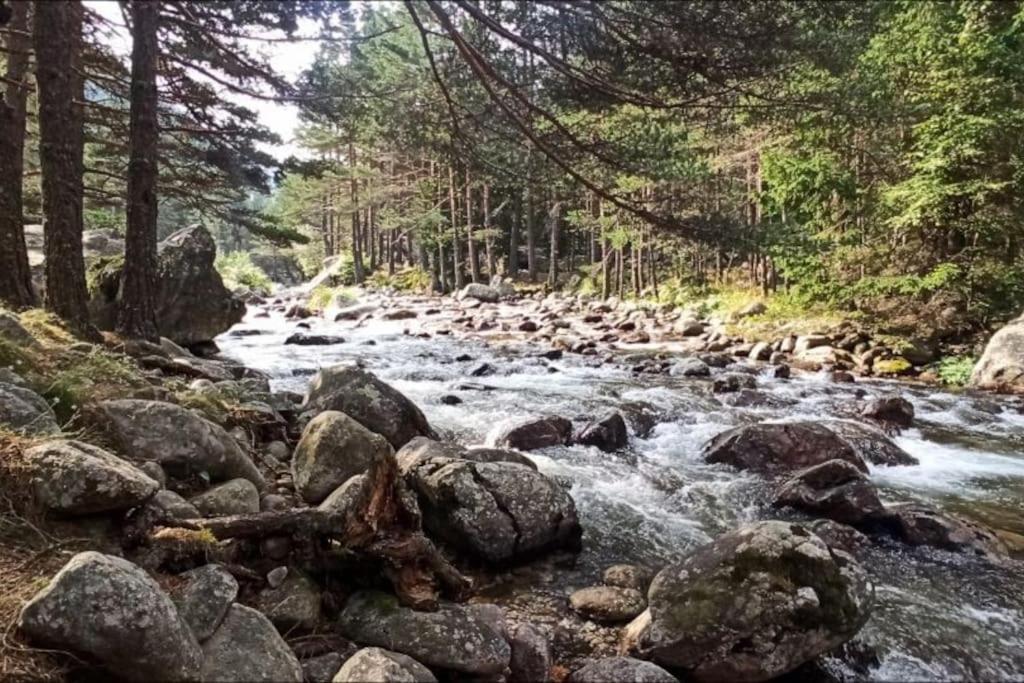 Апартамент Edelweiss Beli Iszkar Kültér fotó